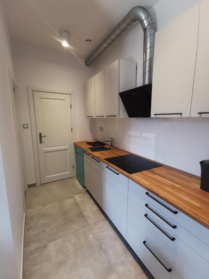 Nowe Apartamenty Zamkowa Vis A Vis Wawelu Krakow Bagian luar foto