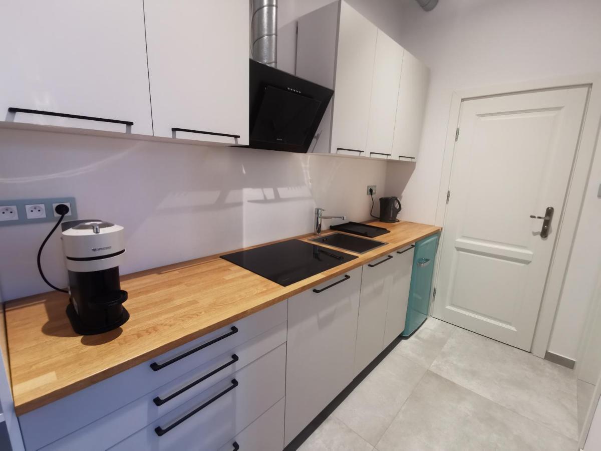 Nowe Apartamenty Zamkowa Vis A Vis Wawelu Krakow Bagian luar foto